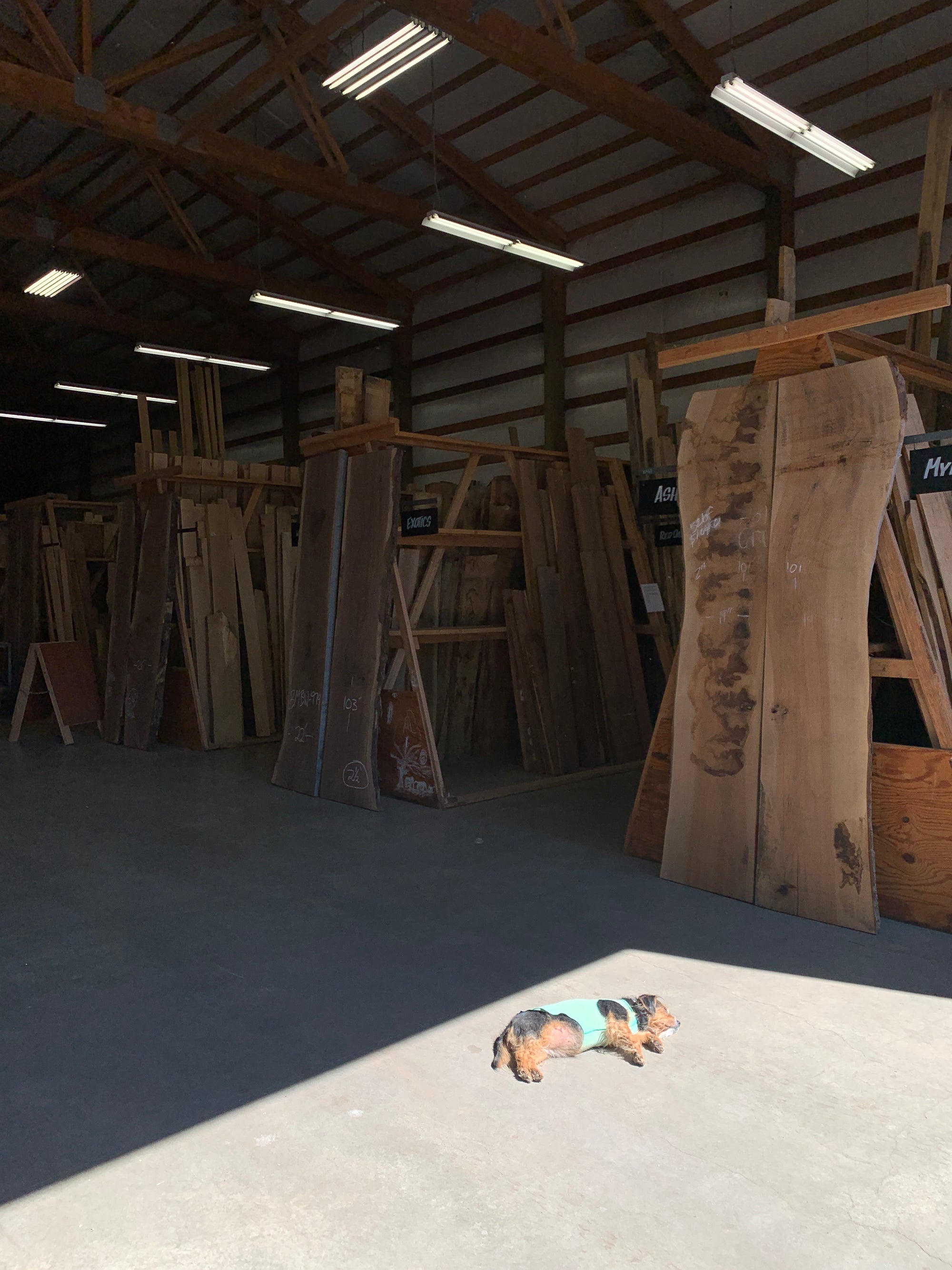 Image Wall — Studio