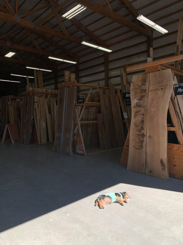 Image Wall — Studio