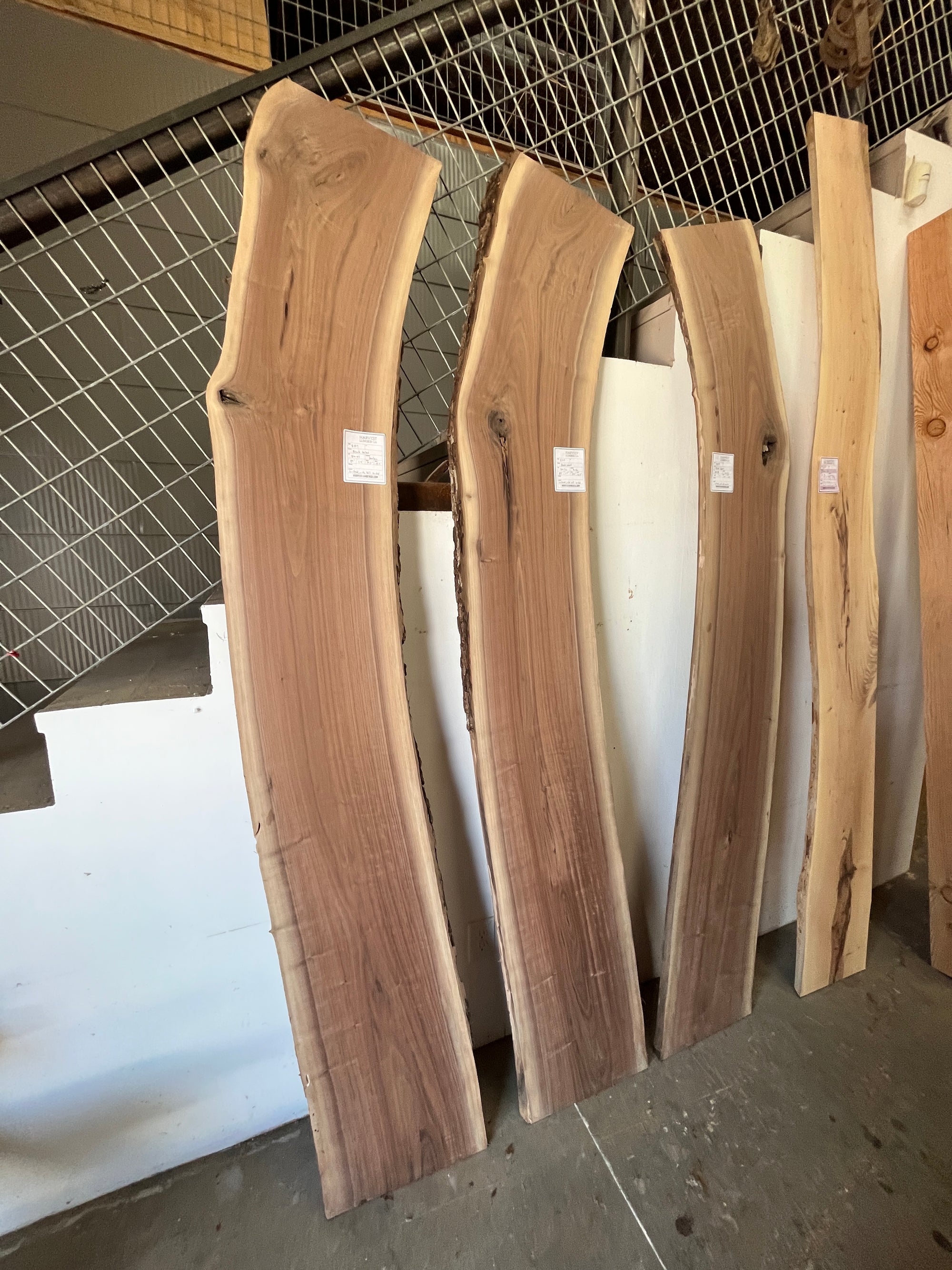 Image Wall — Studio