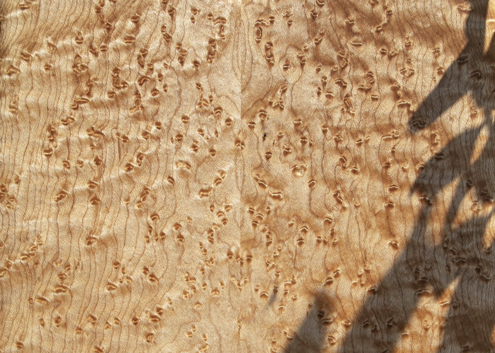 Serving Board in Birdseye Maple