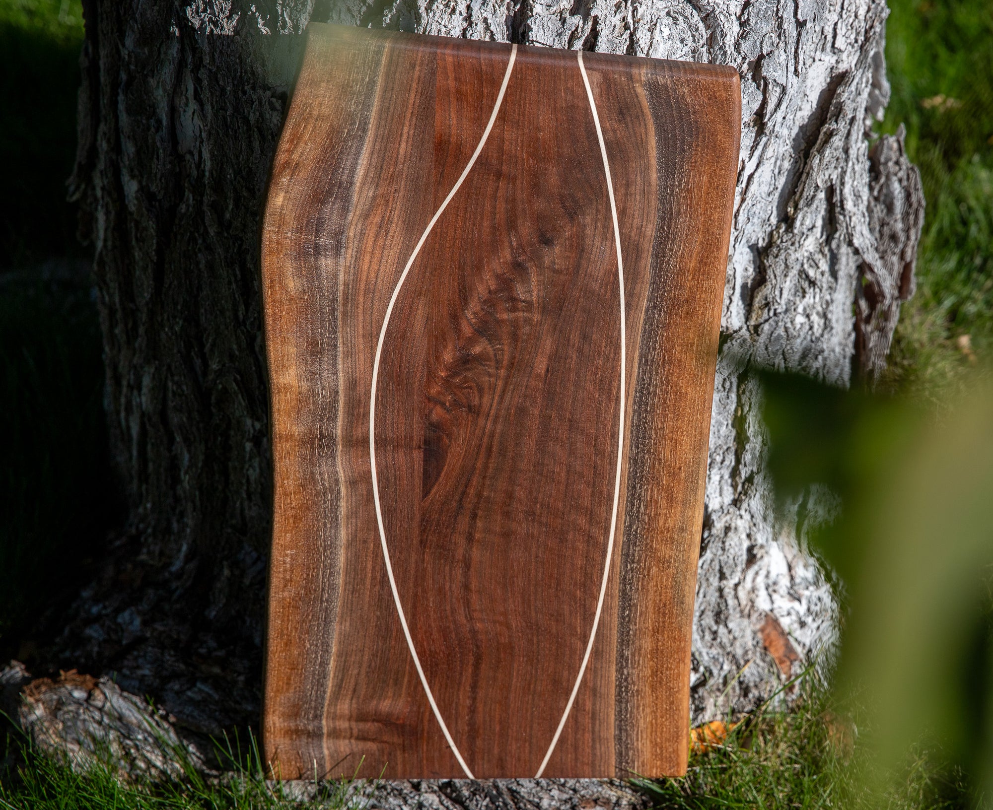 Serving Board in Walnut (Natural Edge)