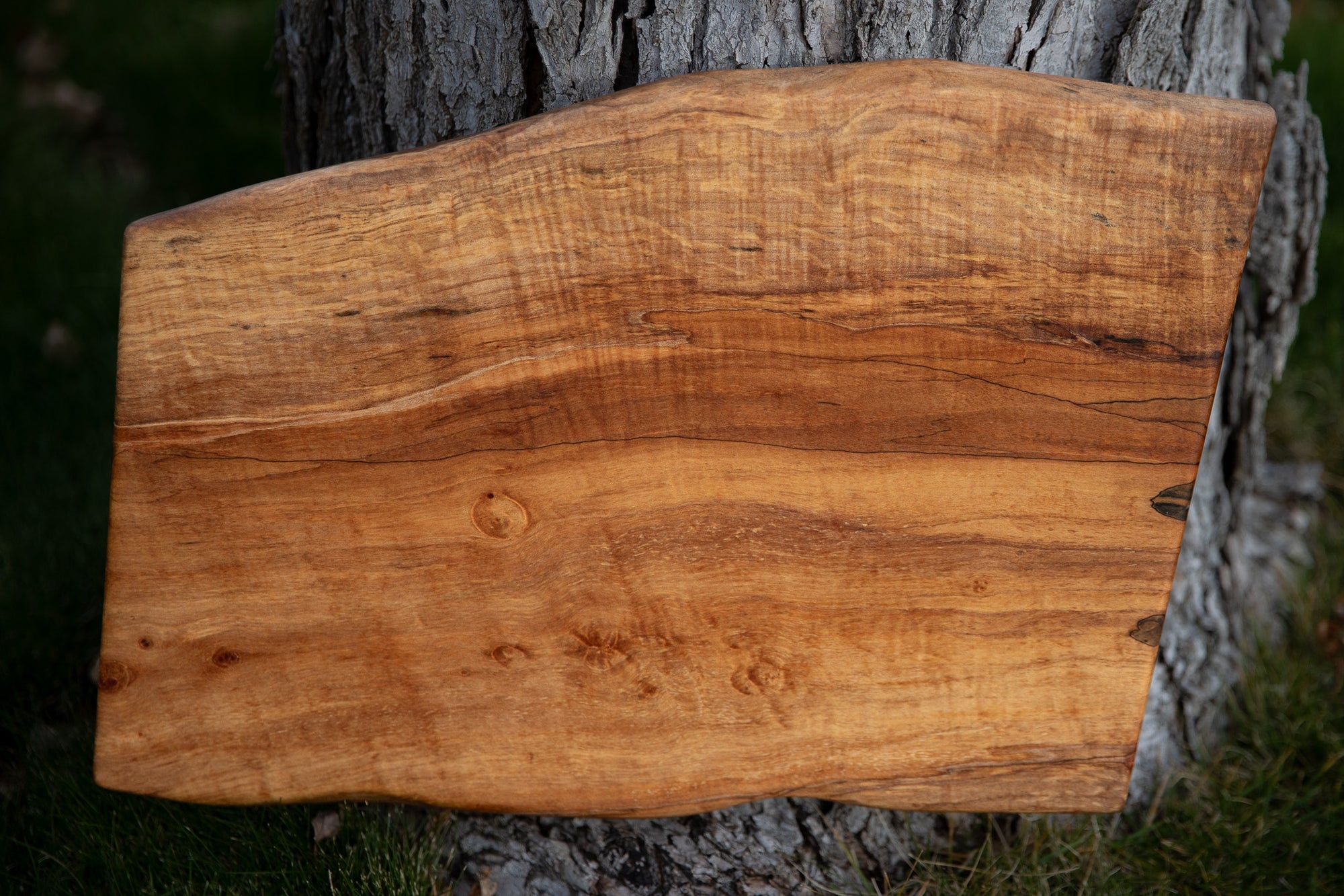 Natural Edge Chopping Board in Spalted Maple (Single Plank)