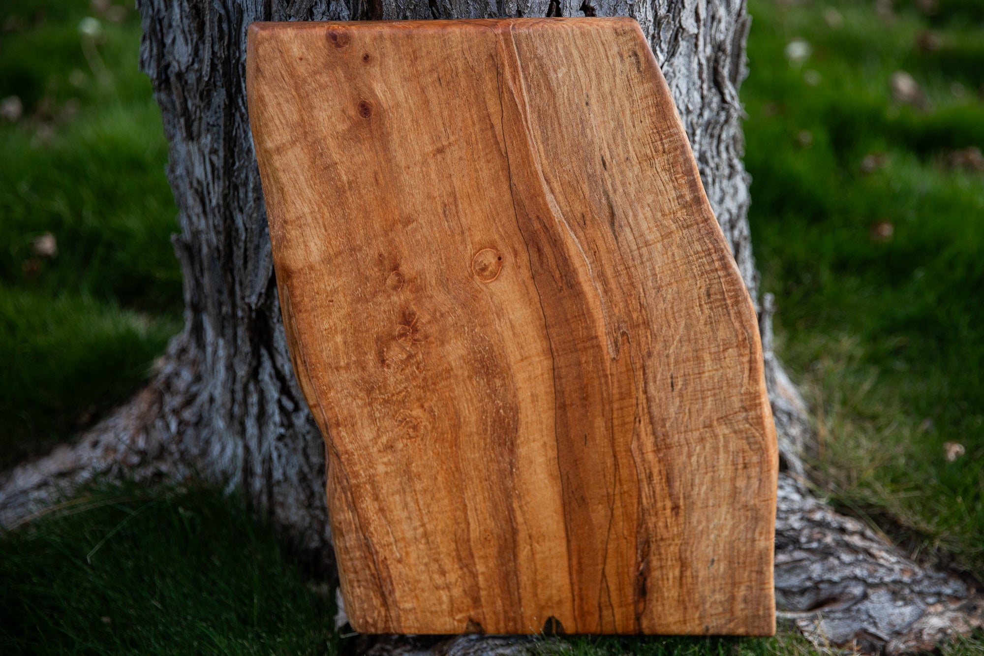 Natural Edge Chopping Board in Spalted Maple (Single Plank)